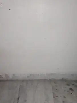 Divyahoty webcam
