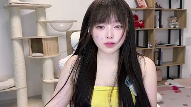 SakuraCat6 webcam