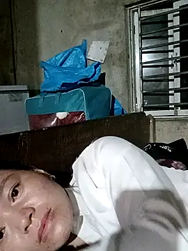 dualeo11 webcam