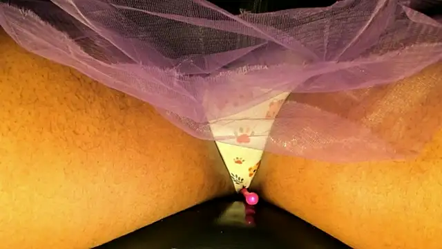 TS_MILK webcam