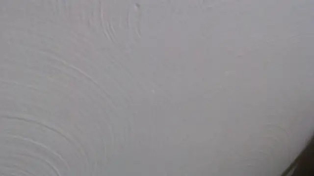studlyhardwoodd webcam