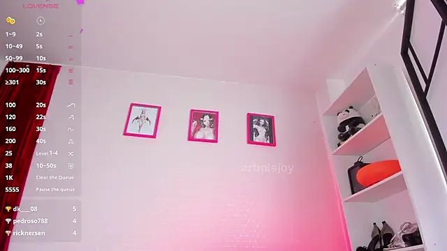 artmiaa webcam