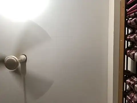 JayxBaer webcam