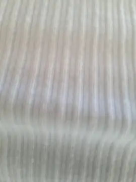 Cataleya_ja webcam