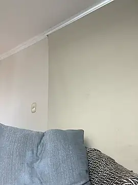 Samispank webcam