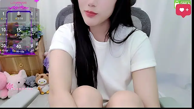 Dully_ana webcam