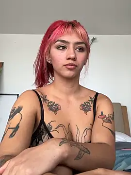 nth-li webcam