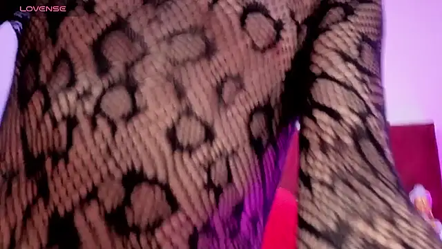 SALOME_F0X_ webcam