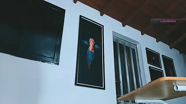 SilvaBranko webcam