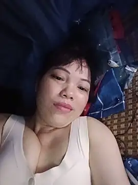 Sana-vn webcam