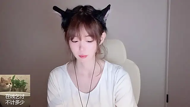 Ruuunn webcam