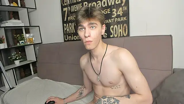 Shadow_blink webcam