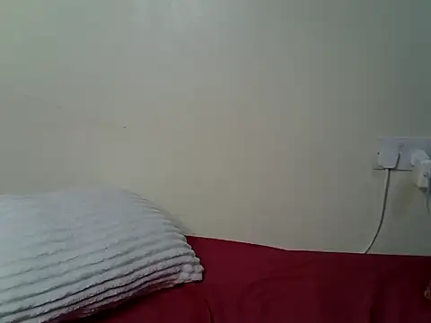 Sansa_s webcam