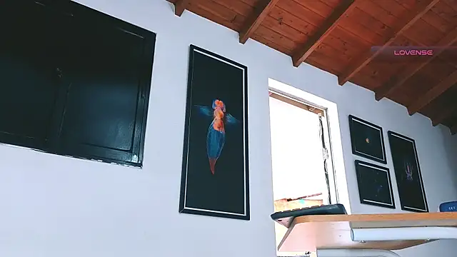 SilvaBranko webcam