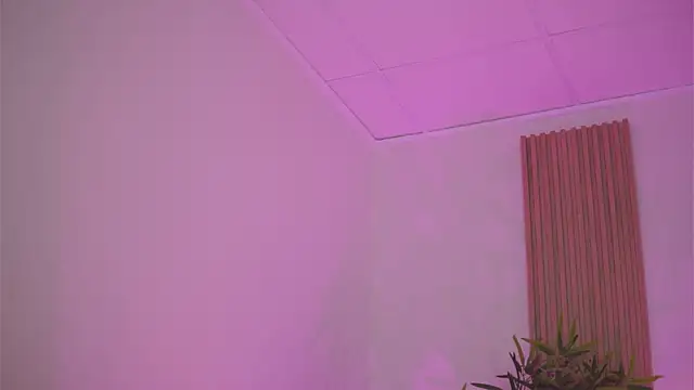 Aisha_Bee webcam