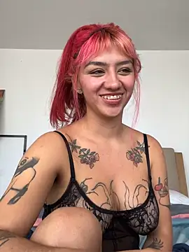 nth-li webcam