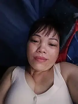 Sana-vn webcam