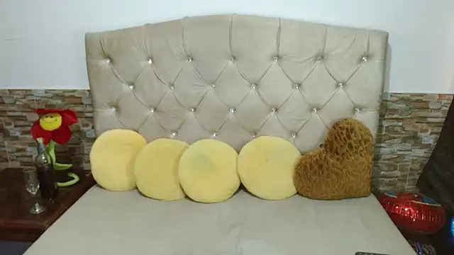 Adafield_ webcam