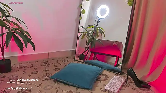 sushiboxxx webcam