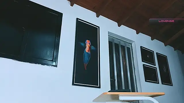 SilvaBranko webcam