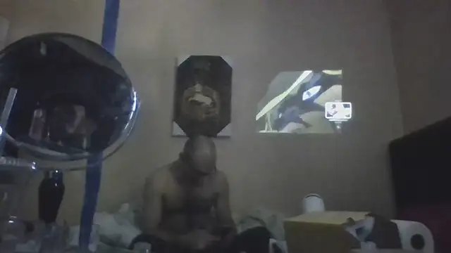 hailzeffn webcam