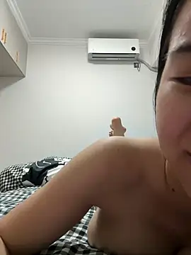 NiNa5203 webcam