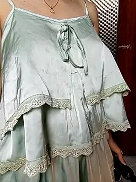 Shiny_68 webcam