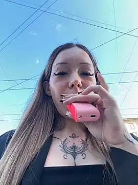 StreetCelebrity webcam
