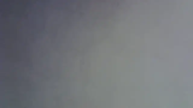 SkinnyKitten webcam
