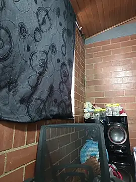 Alexandrina webcam