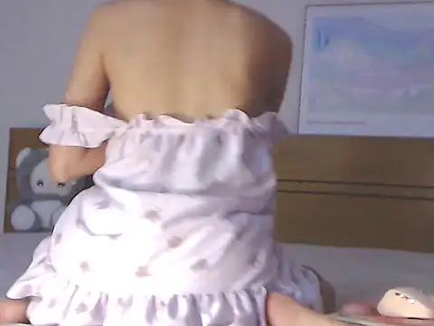 veelittle webcam
