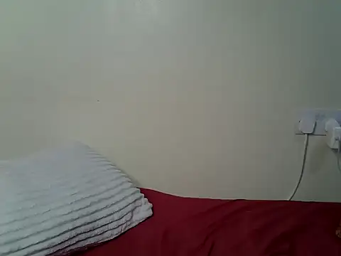 Sansa_s webcam