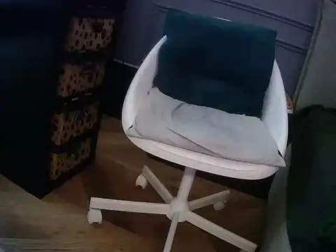 SavagesGN webcam
