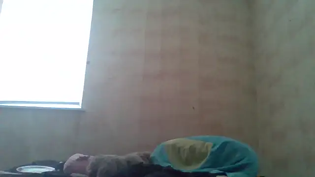 bigtiteclipse webcam