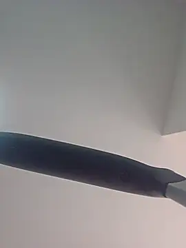 Sira-Phone webcam