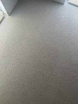 quartzvital webcam