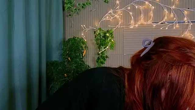 PollyVinice webcam