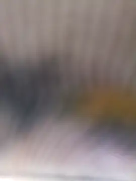 You-sexy-starr webcam