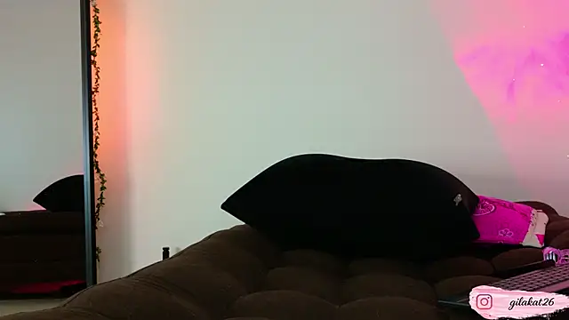 GilaKat webcam