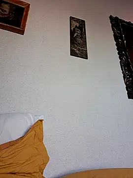 Sony28v webcam