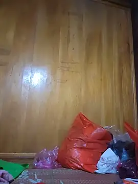 Reeoo-93 webcam