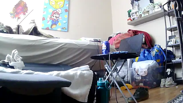 PapaBearGap3dAnal webcam