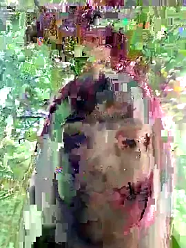 Thamaragomexxx webcam