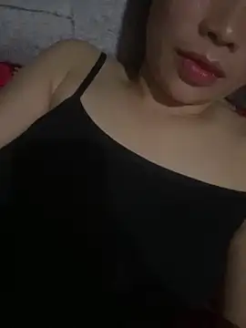 Samso-si webcam
