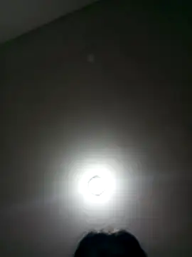 wbrankinha webcam