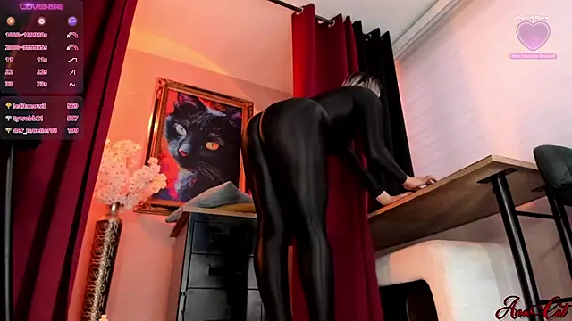 ana_cat webcam