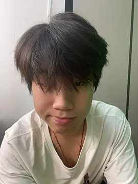 Dw456 webcam