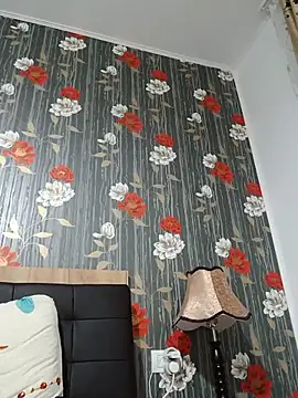 Levarboy webcam