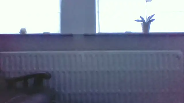 bertolini webcam