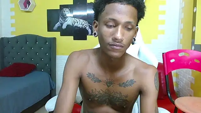 ManSant webcam